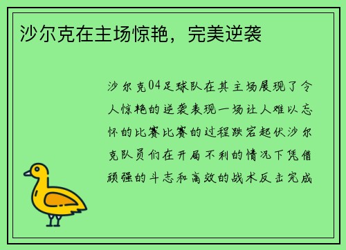 沙尔克在主场惊艳，完美逆袭